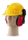 Safety Helmet